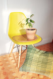 SHOELACES LEMON - CUSHION COVER