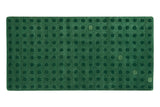 SPINACH BEND - RUG